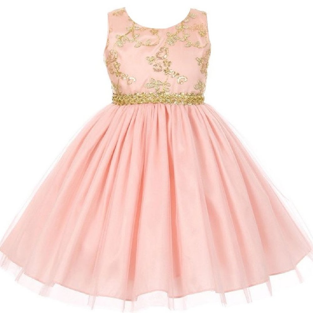 Big Girls Junior Girls Embroidered Tulle Golden Lace Flower Girls Dresses Blush